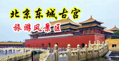 美女曰逼中国北京-东城古宫旅游风景区